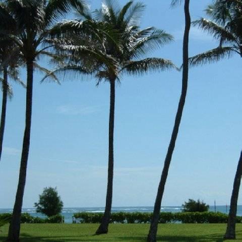 Fairway Villas Honolulu Exterior foto